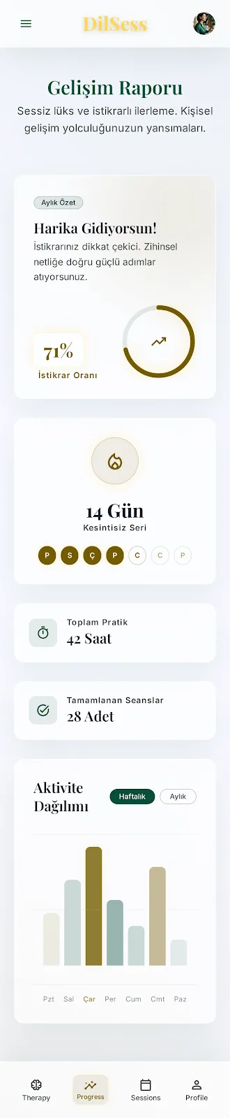 Gelişim ekranı